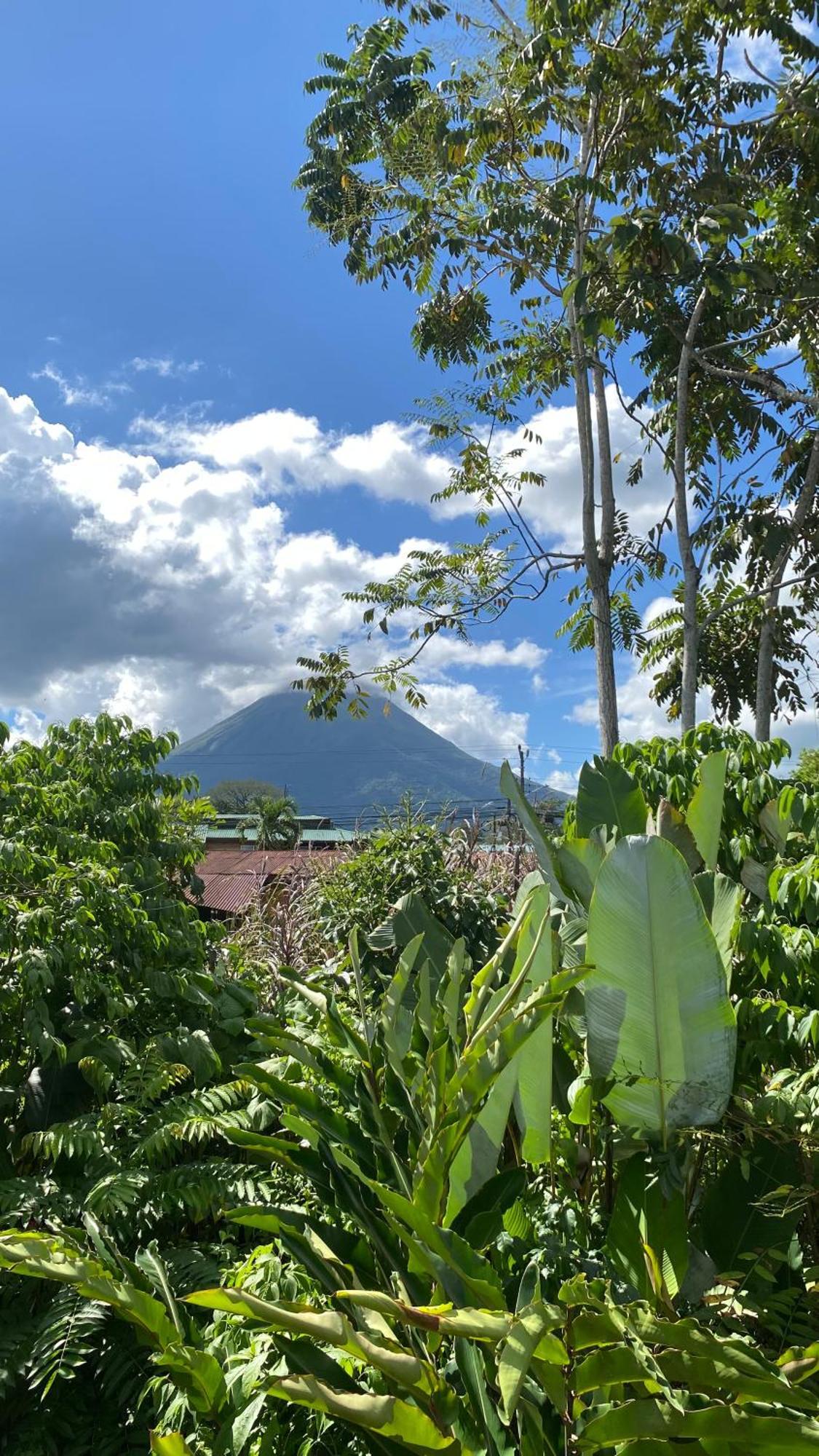 Oasis By Franklin Hotel Boutique La Fortuna Bagian luar foto